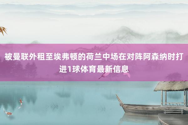 被曼联外租至埃弗顿的荷兰中场在对阵阿森纳时打进1球体育最新信息